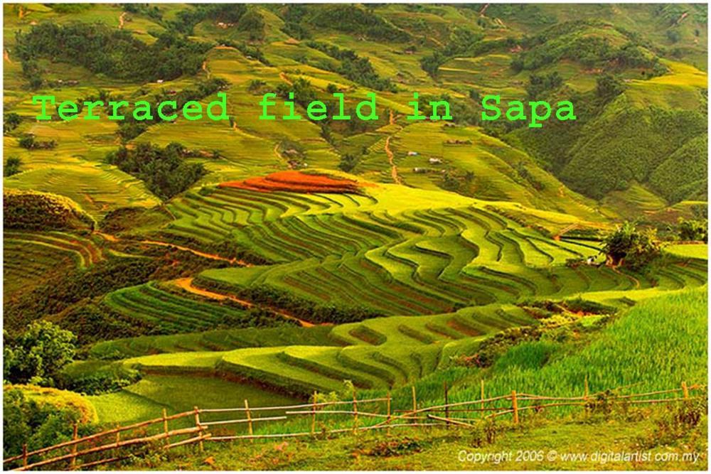 Sena Boutique & Travel Hotel Hanoi
