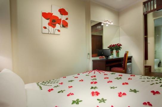 Hotel Viet & Travel *