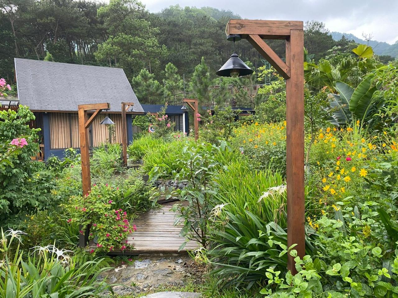 Lodge Anna Little Garden - Fish House *