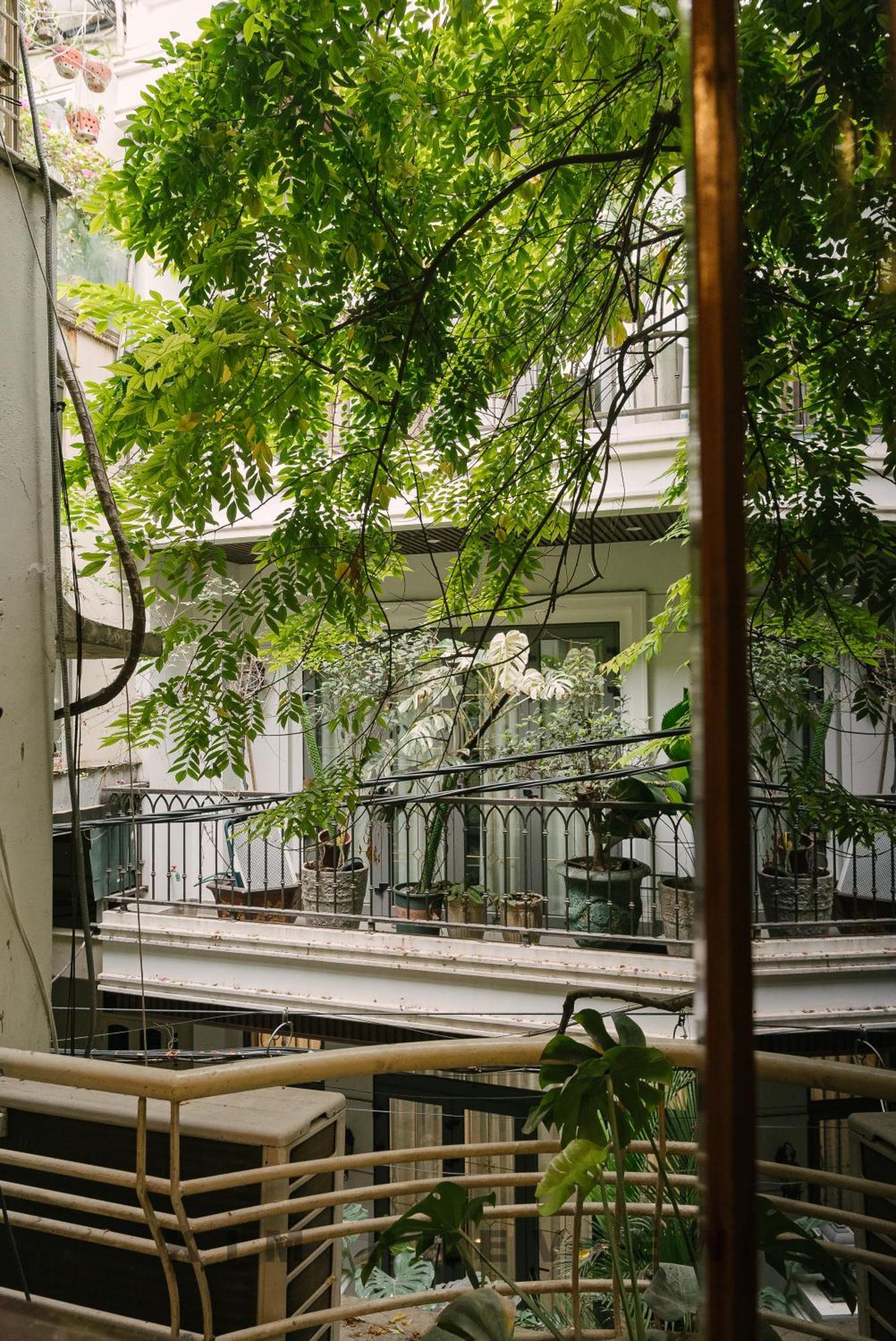 Rumah tetamu Going Hanoi