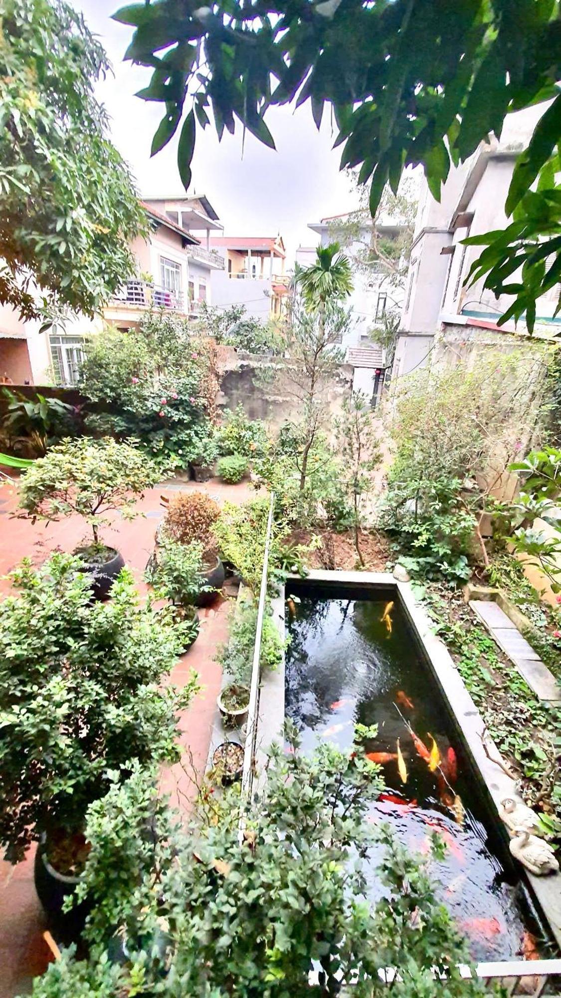 Lee Guest house Hanoi