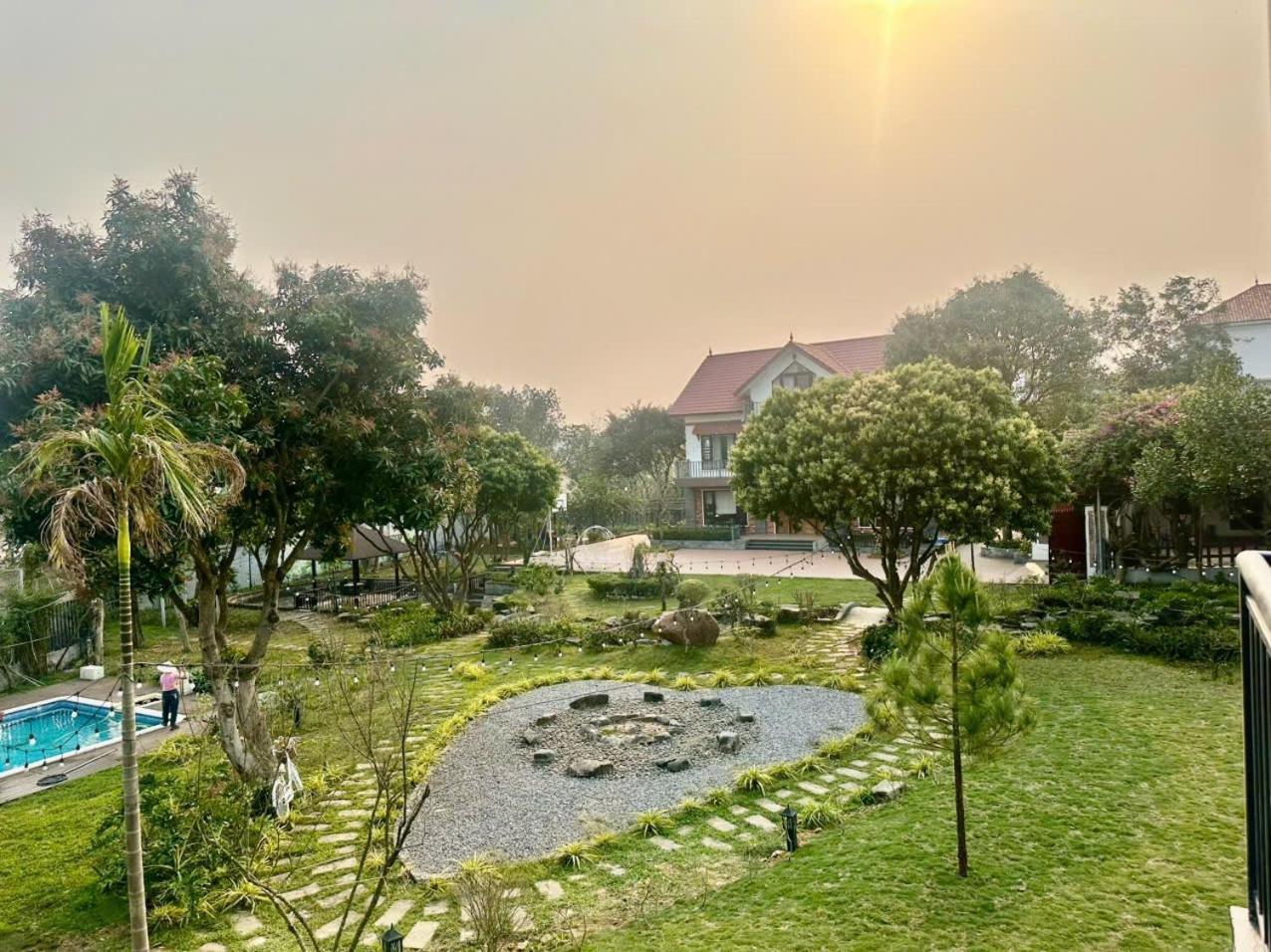 Meadow * Hanoi