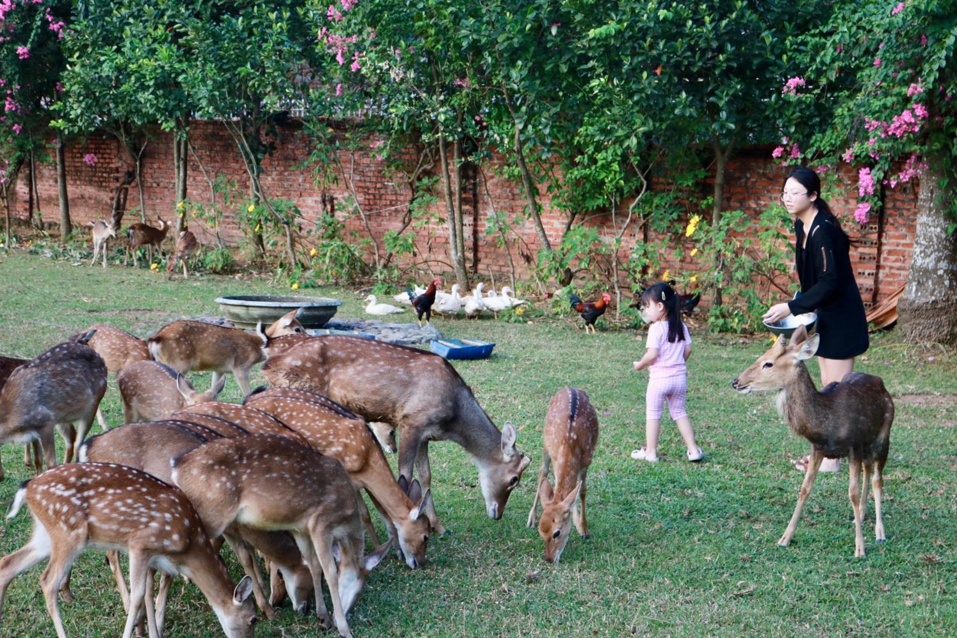Asean - Shiki Onsen & Hanoi