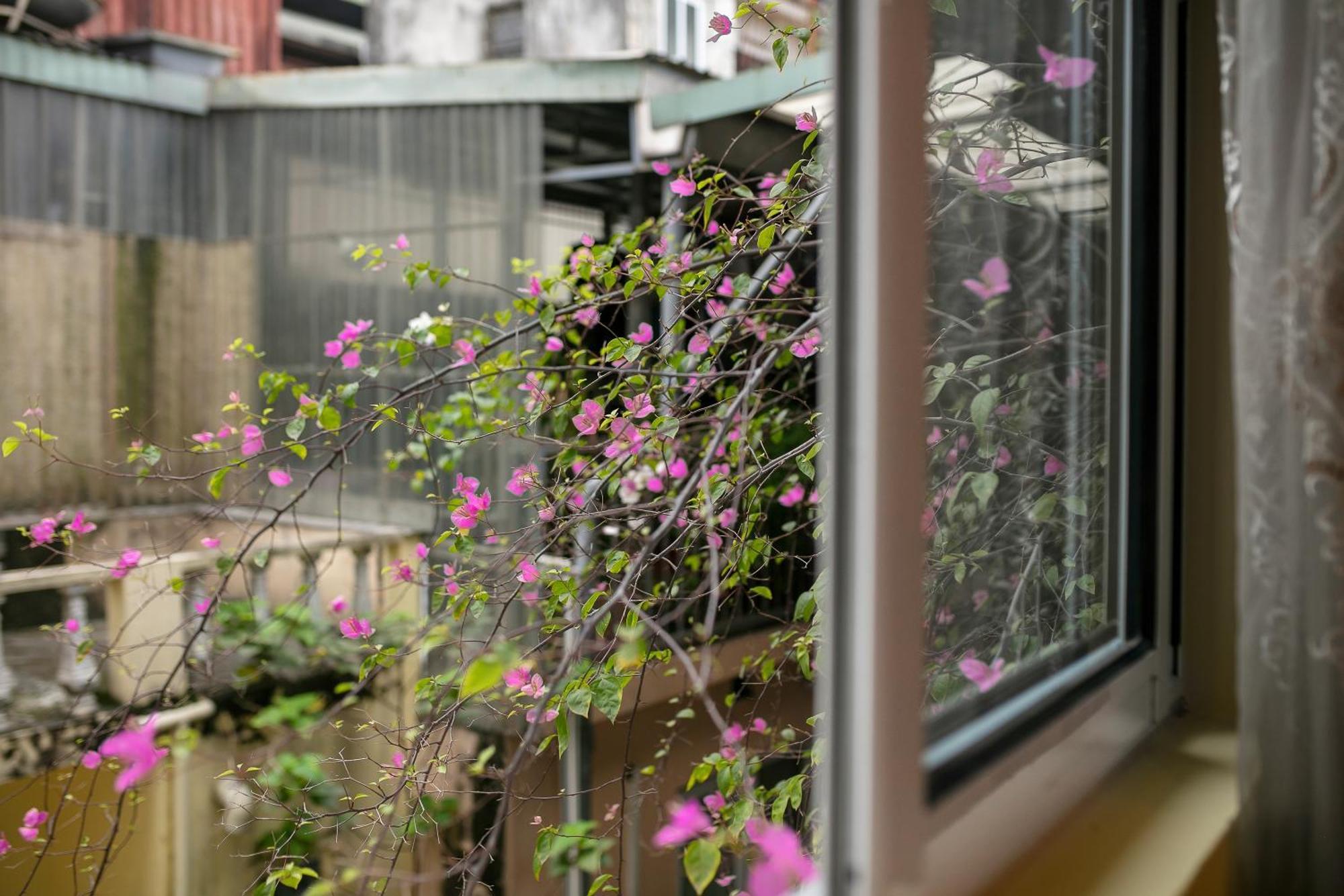 Hostel Oldtown Nomad *