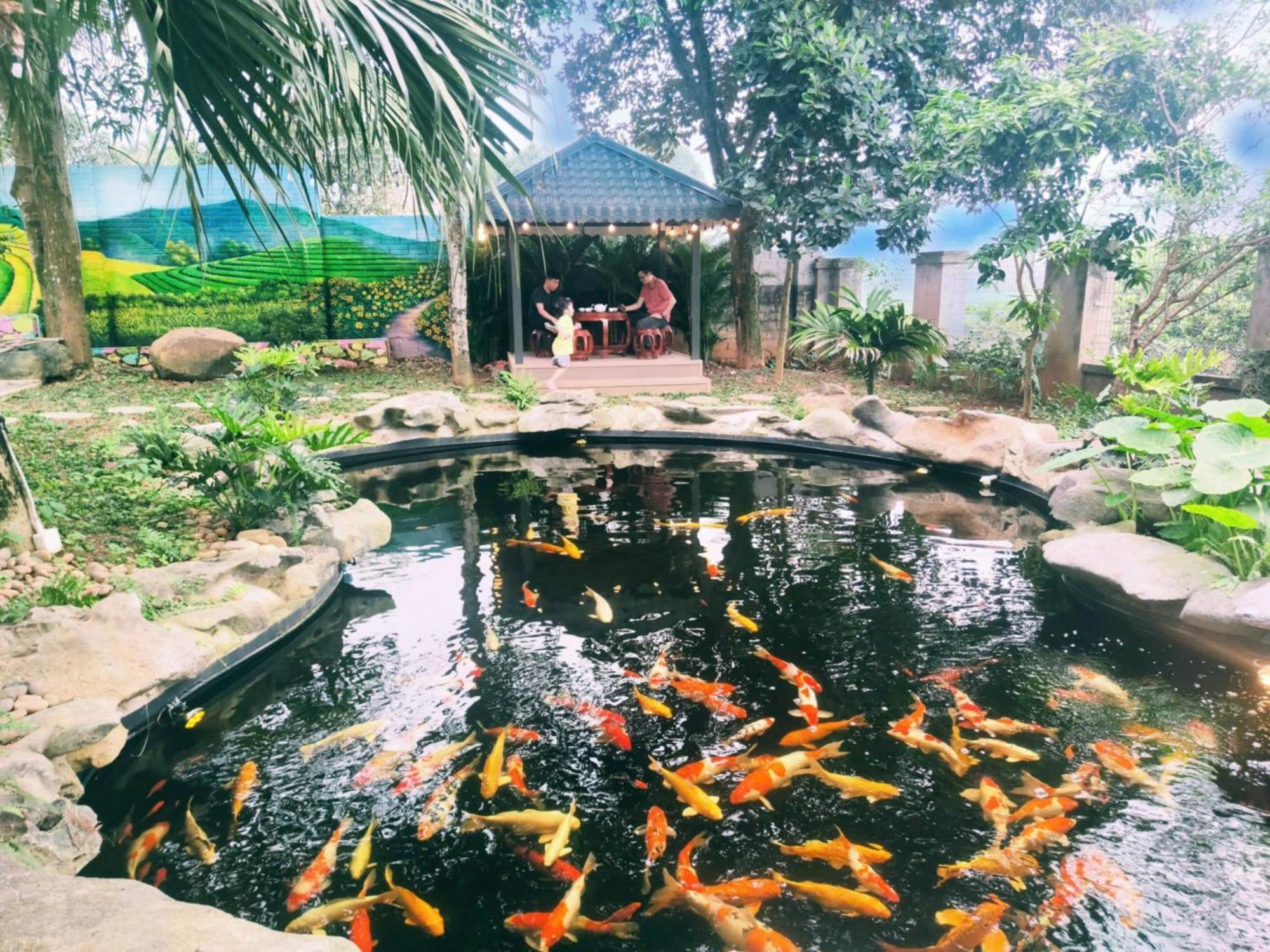 Hotel Ha Thanh