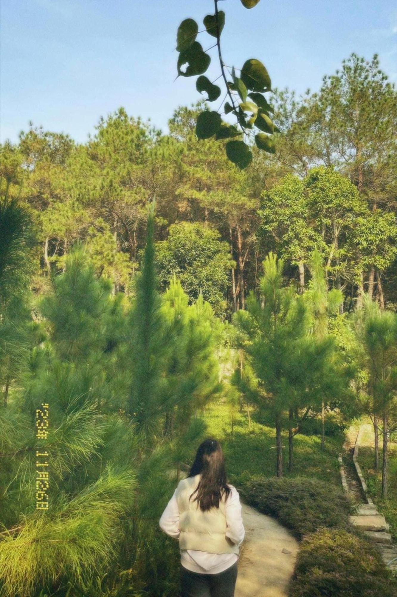 Lee Garden Hanói