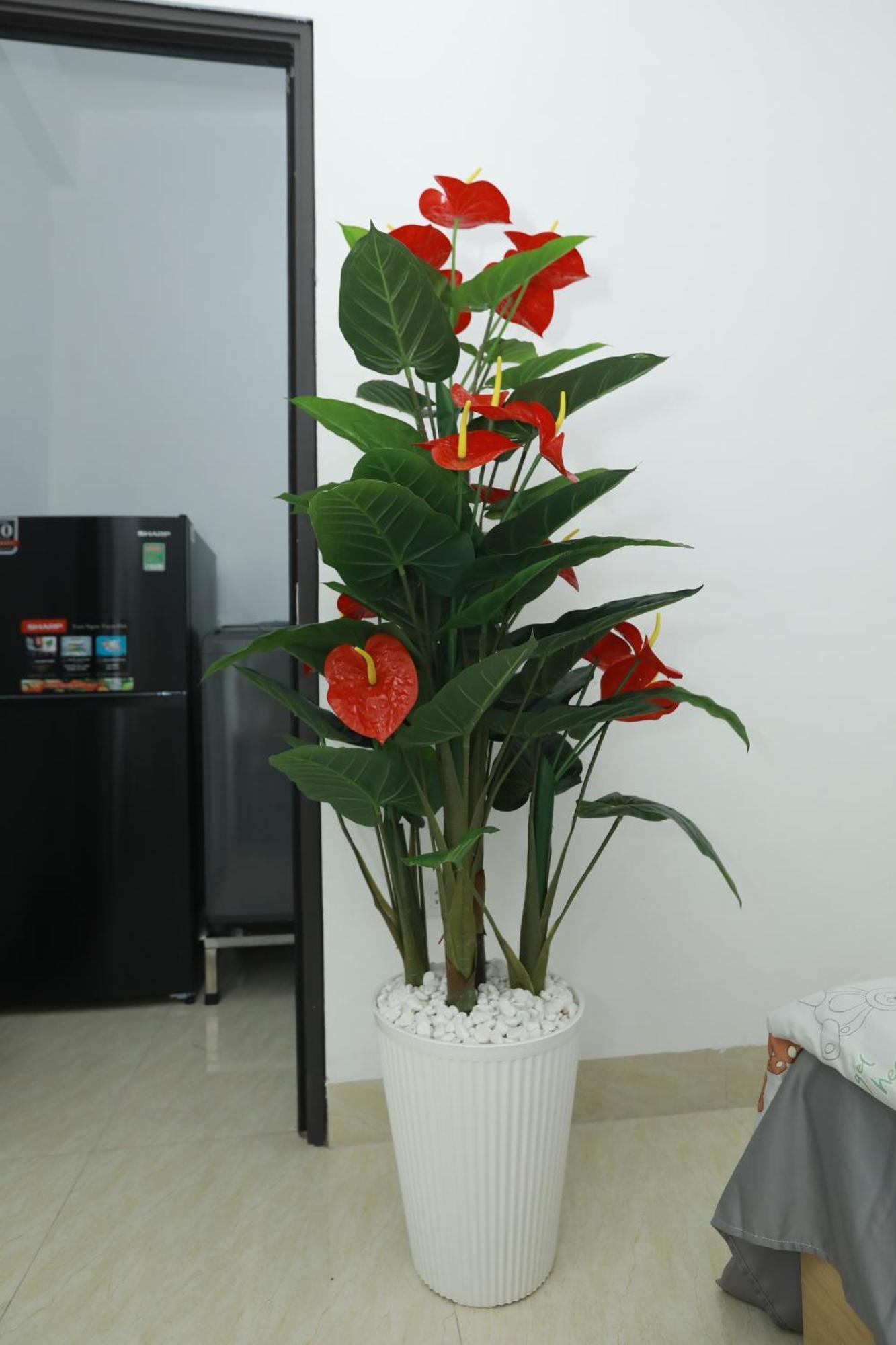 Nha Tro 3 Tu Mo Ha Noi Aparthotel Hanoi