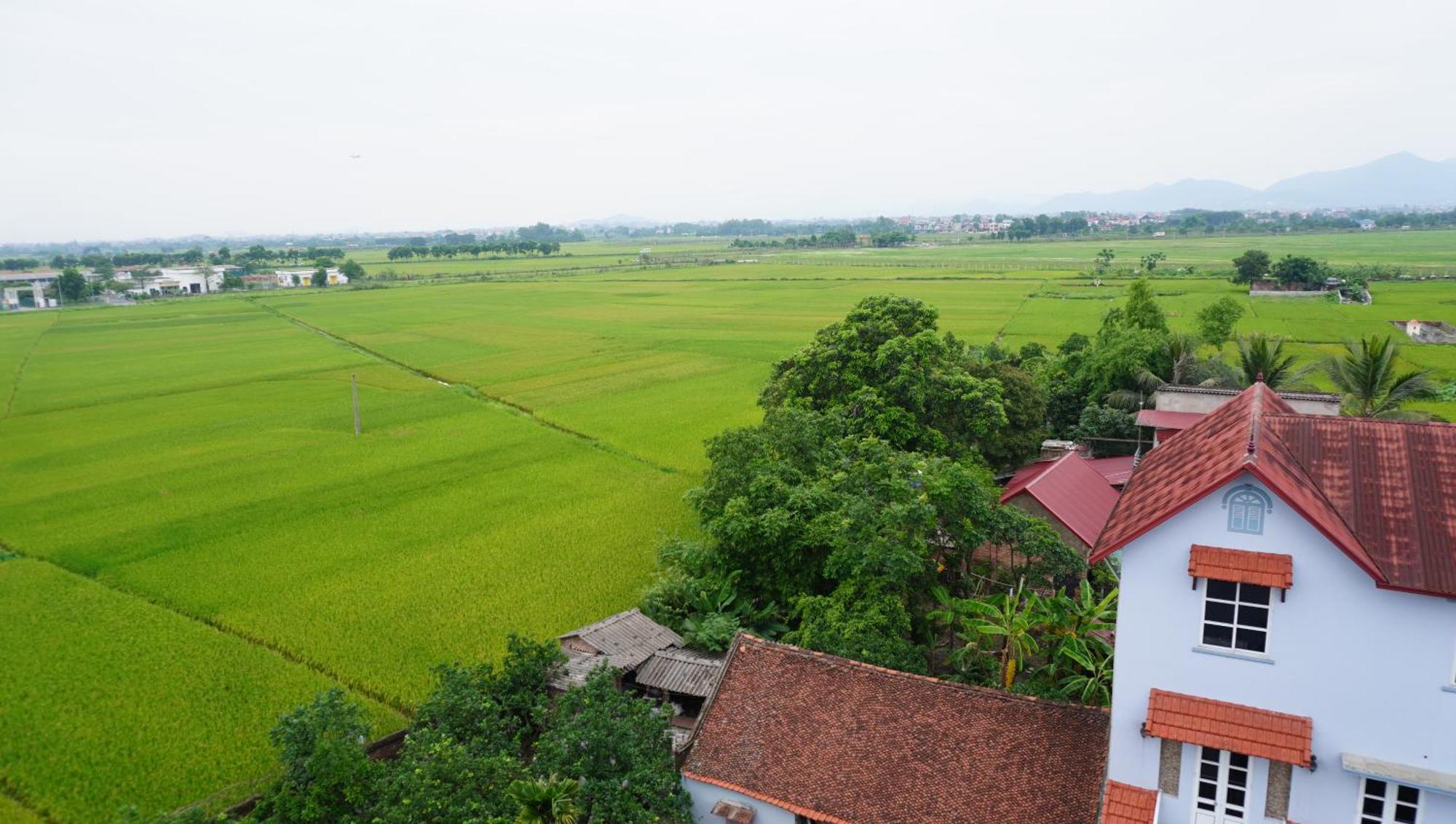 Jademay Airport Khách sạn