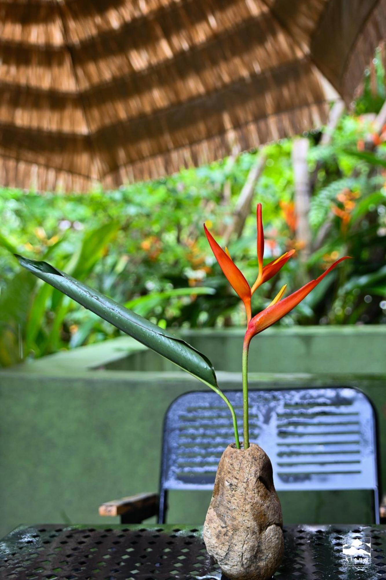Xieng Retreat