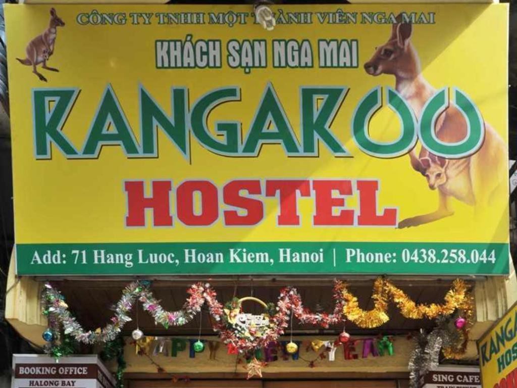 Kangaroo Hostel