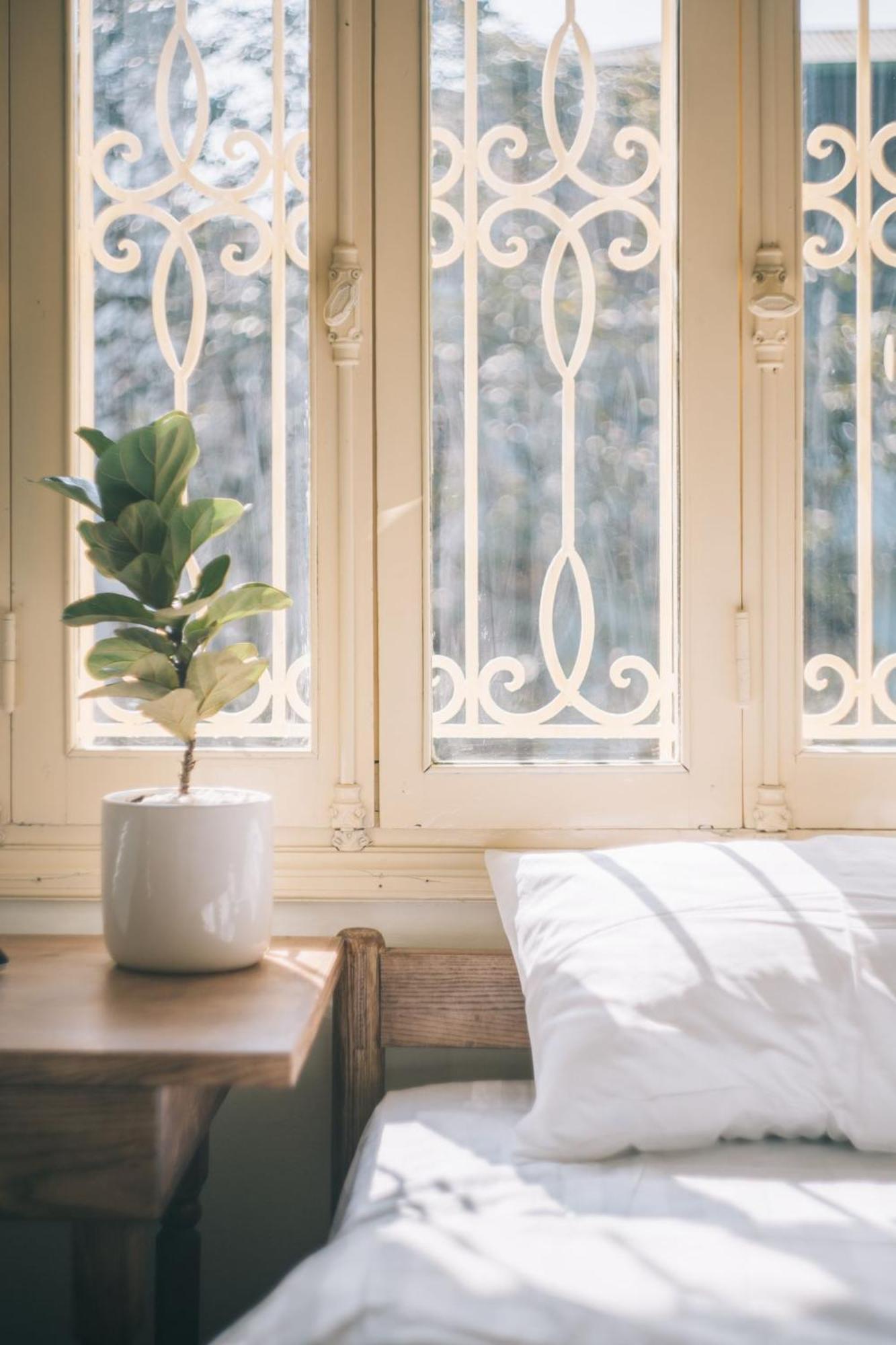 Maison Tranquille Hanoi-private Rooftop For Group-free Airport Pickup Hanoi