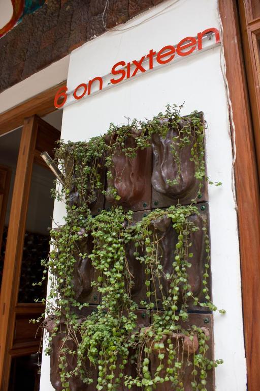 6 On Sixteen Boutique Hotel