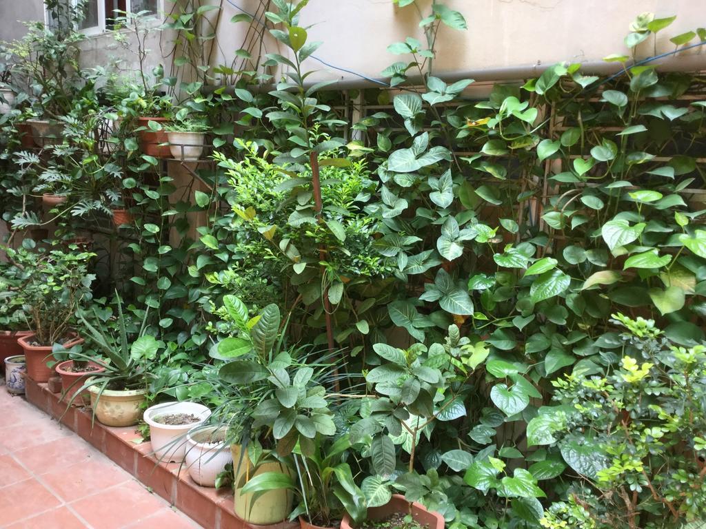 French-styled House Homestay Hanoi