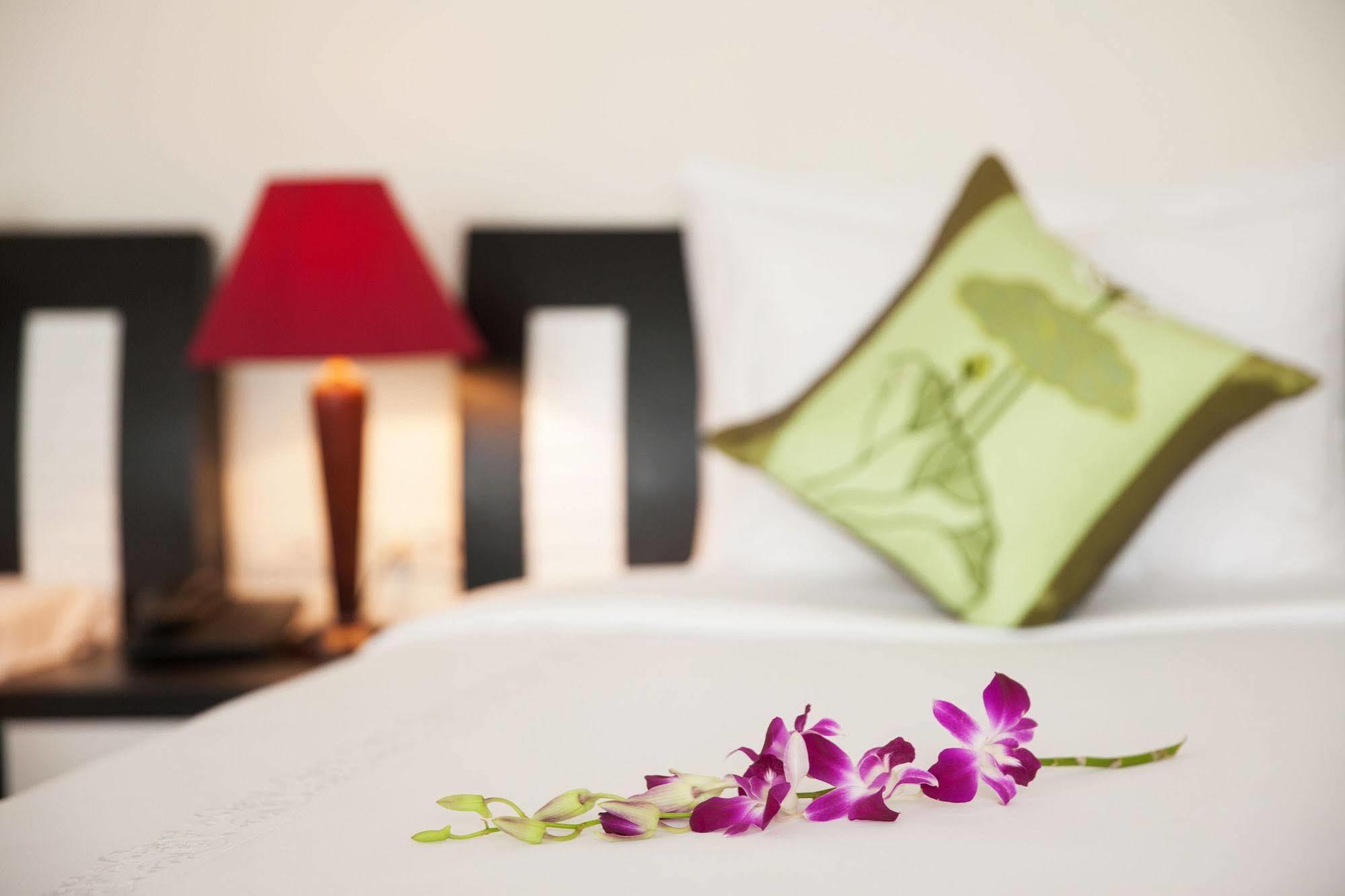 Serenity 3*