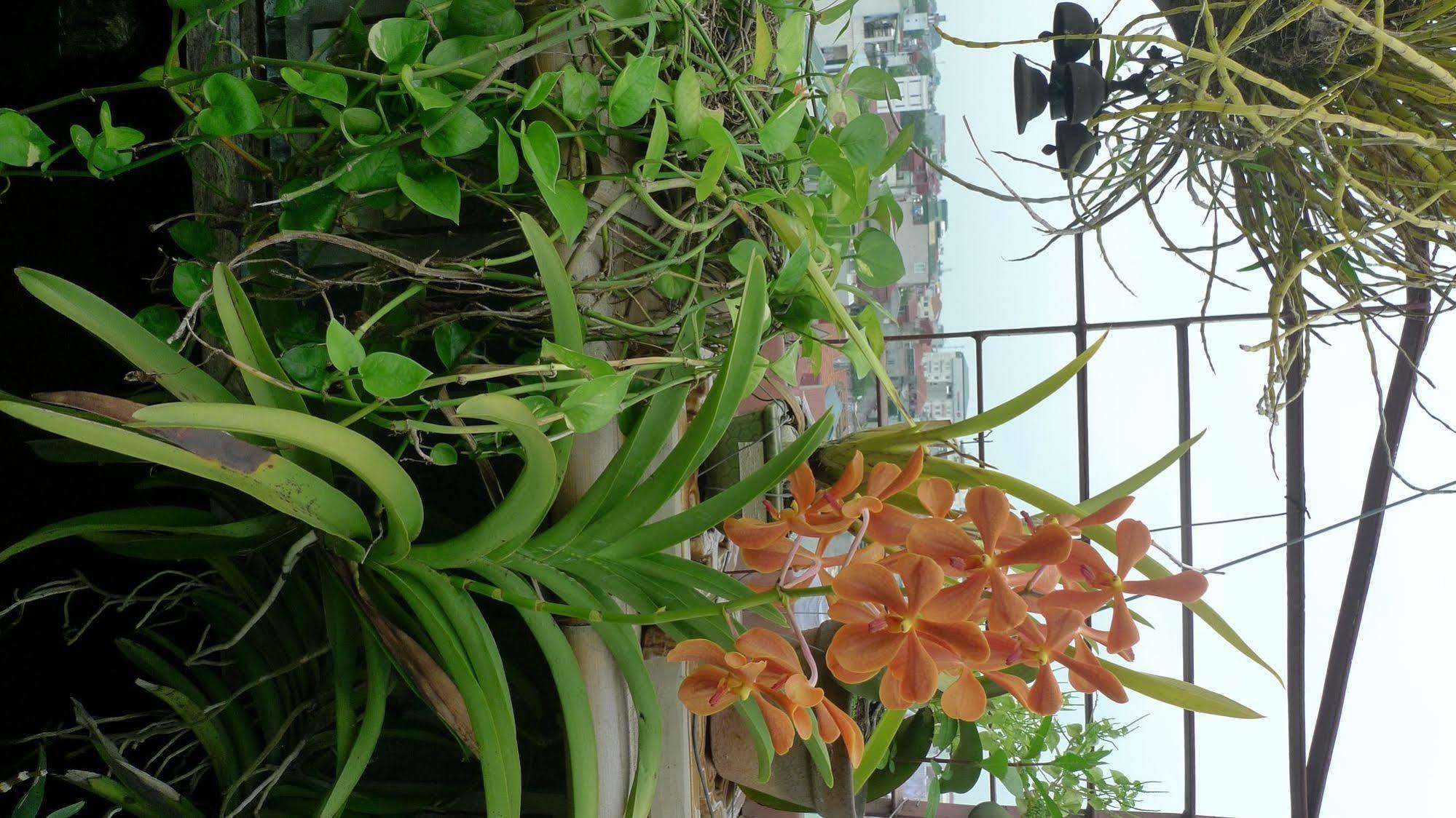 Hotel Garden Queen