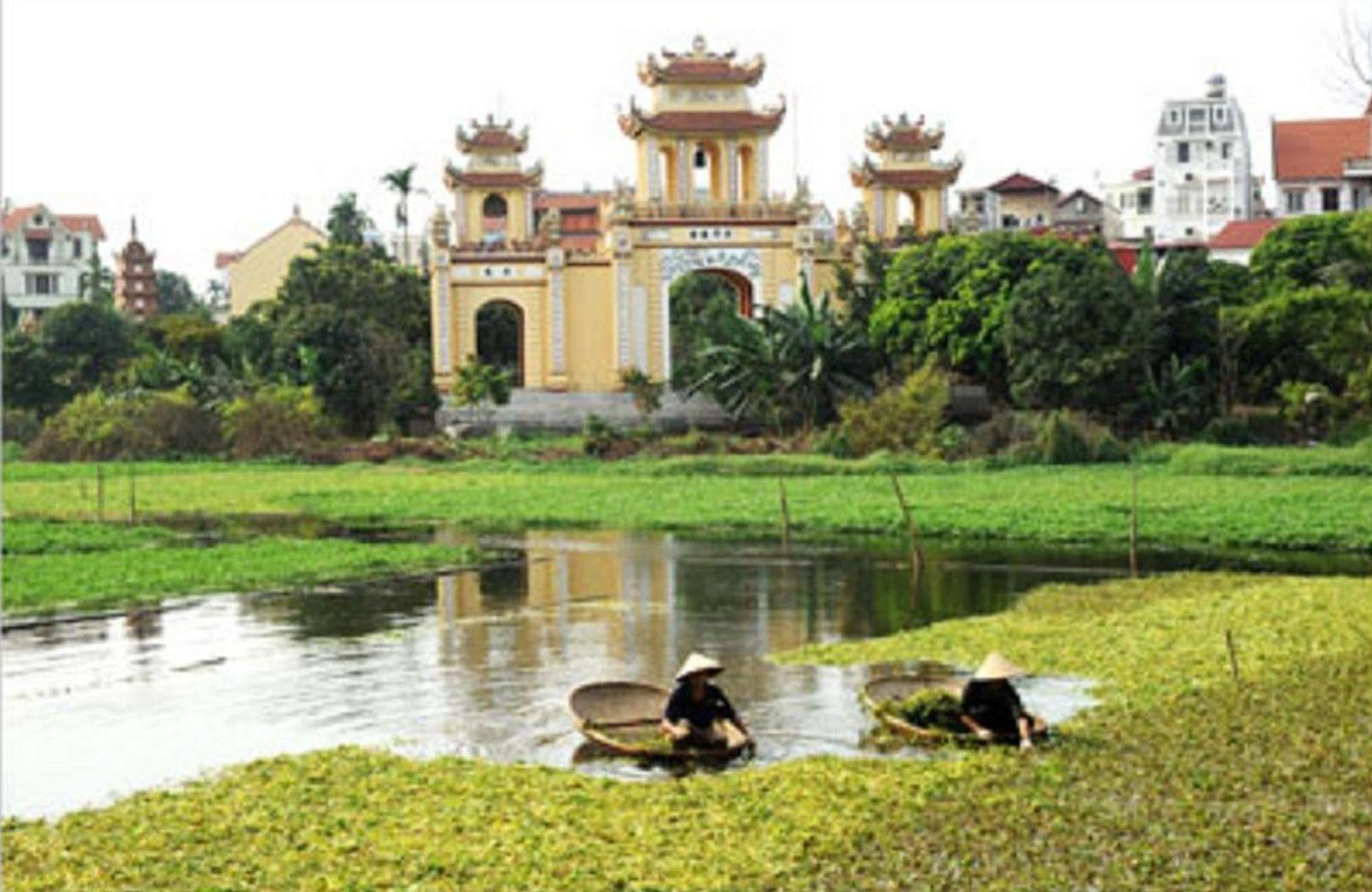 Wild Lotus - Xuan Dieu Hotel