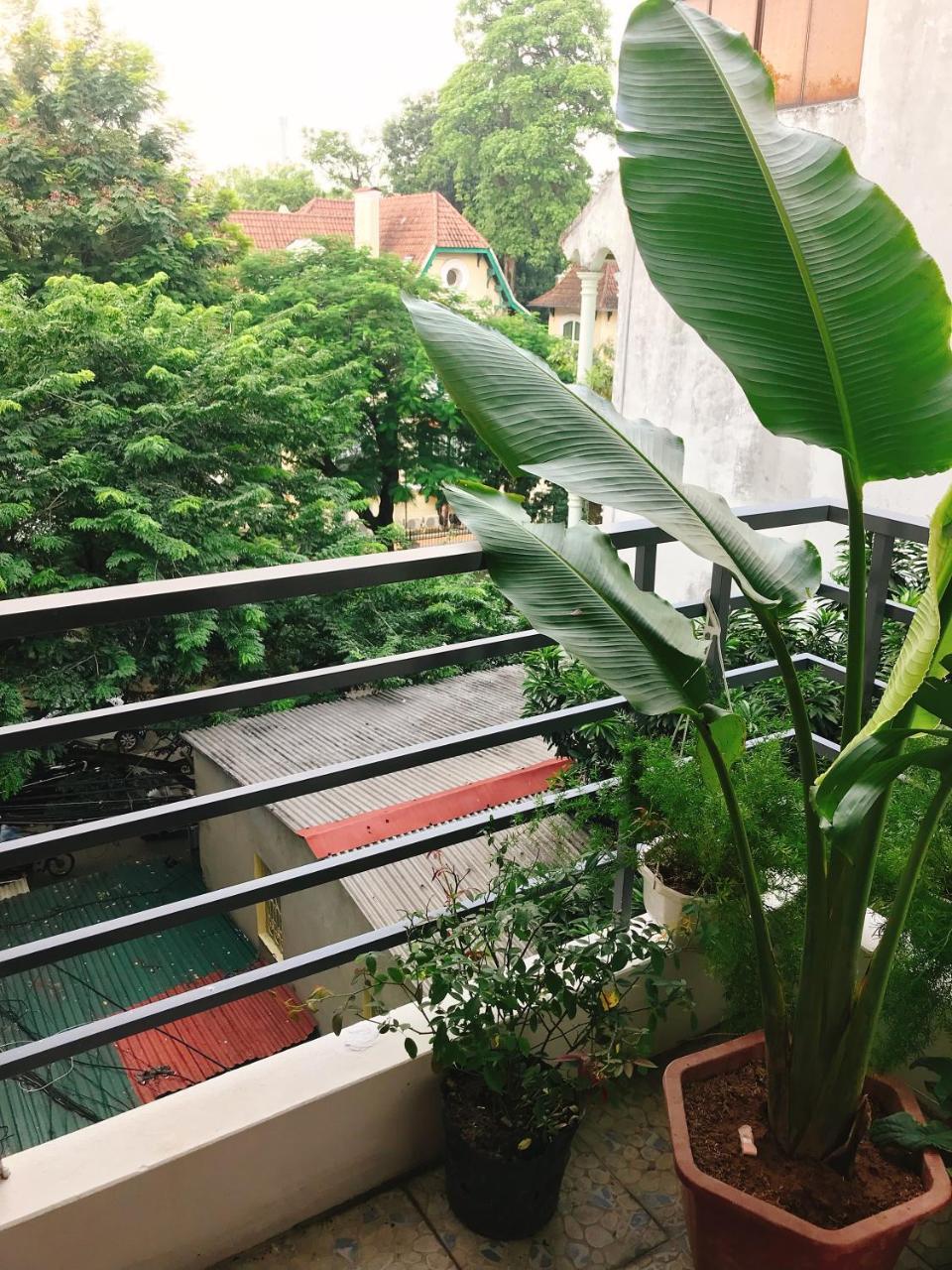 De Lapong Homestay - Ham Long 4*
