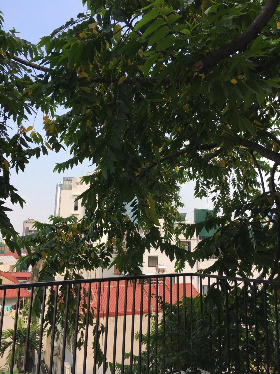 Palmo & 2 Hotel Hanoi