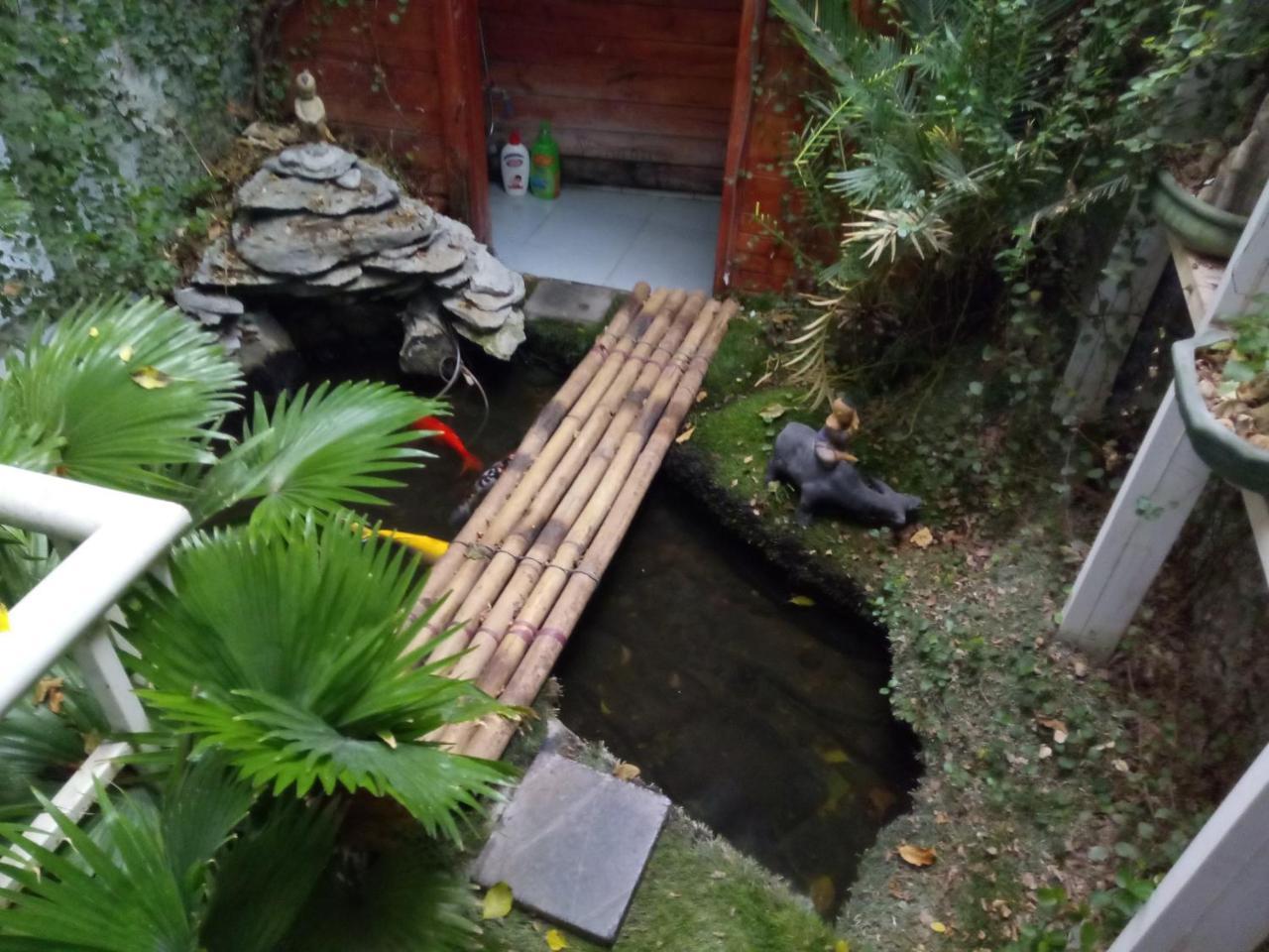 Hostel Green Homestay