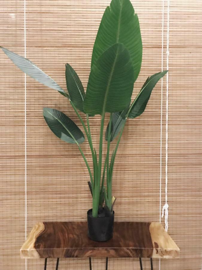 Michi 6 Apartment *