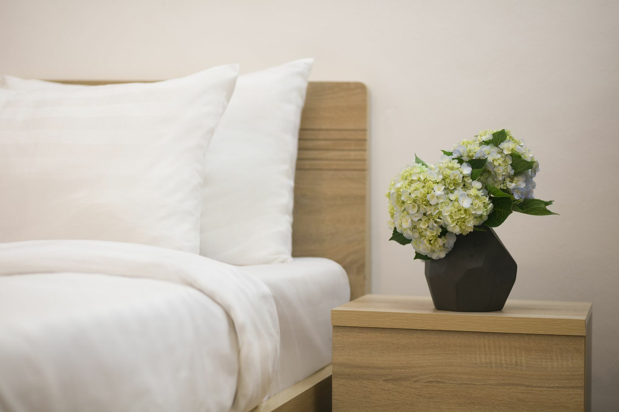 Hostel Backpackersuite Hanoi