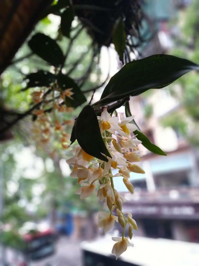 Homestay Balcony *
