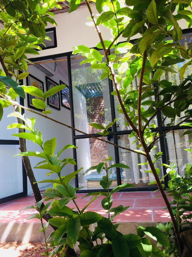 Elephant House - Duong Lam Homestay *