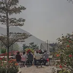 Bách Xanh House. Nhà Đa Giác