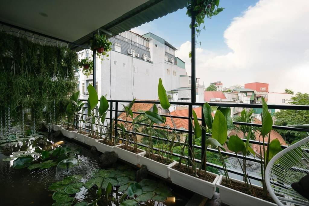 - Pagoda View 2 * Hanoi