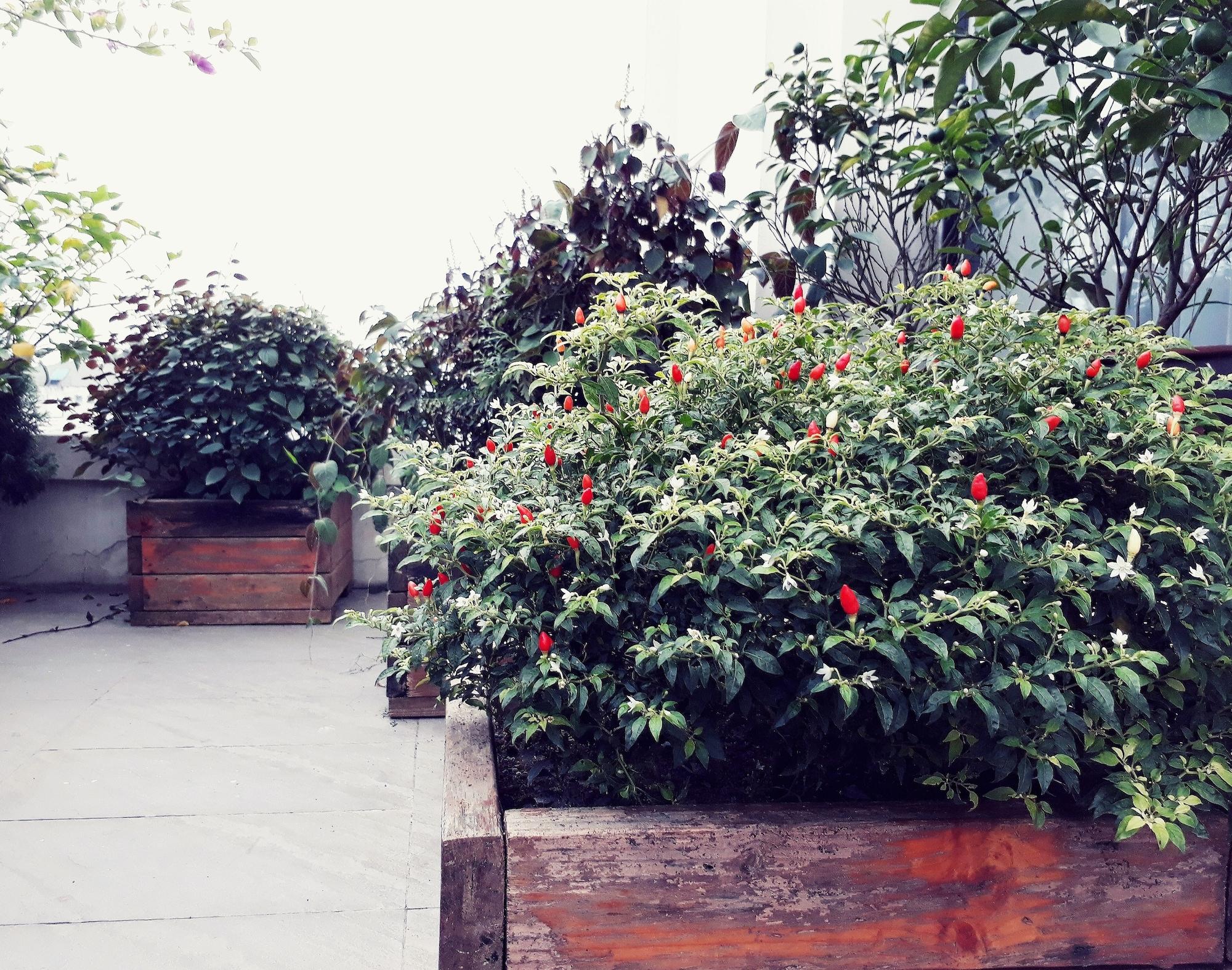 The Ann & Hotel Hanoi