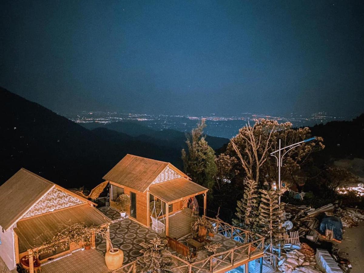 Mimosa Homestay