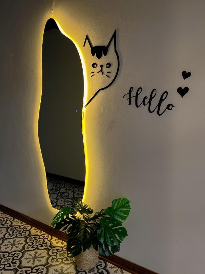 Apartment Meo Homestay - Duplex House In Centre