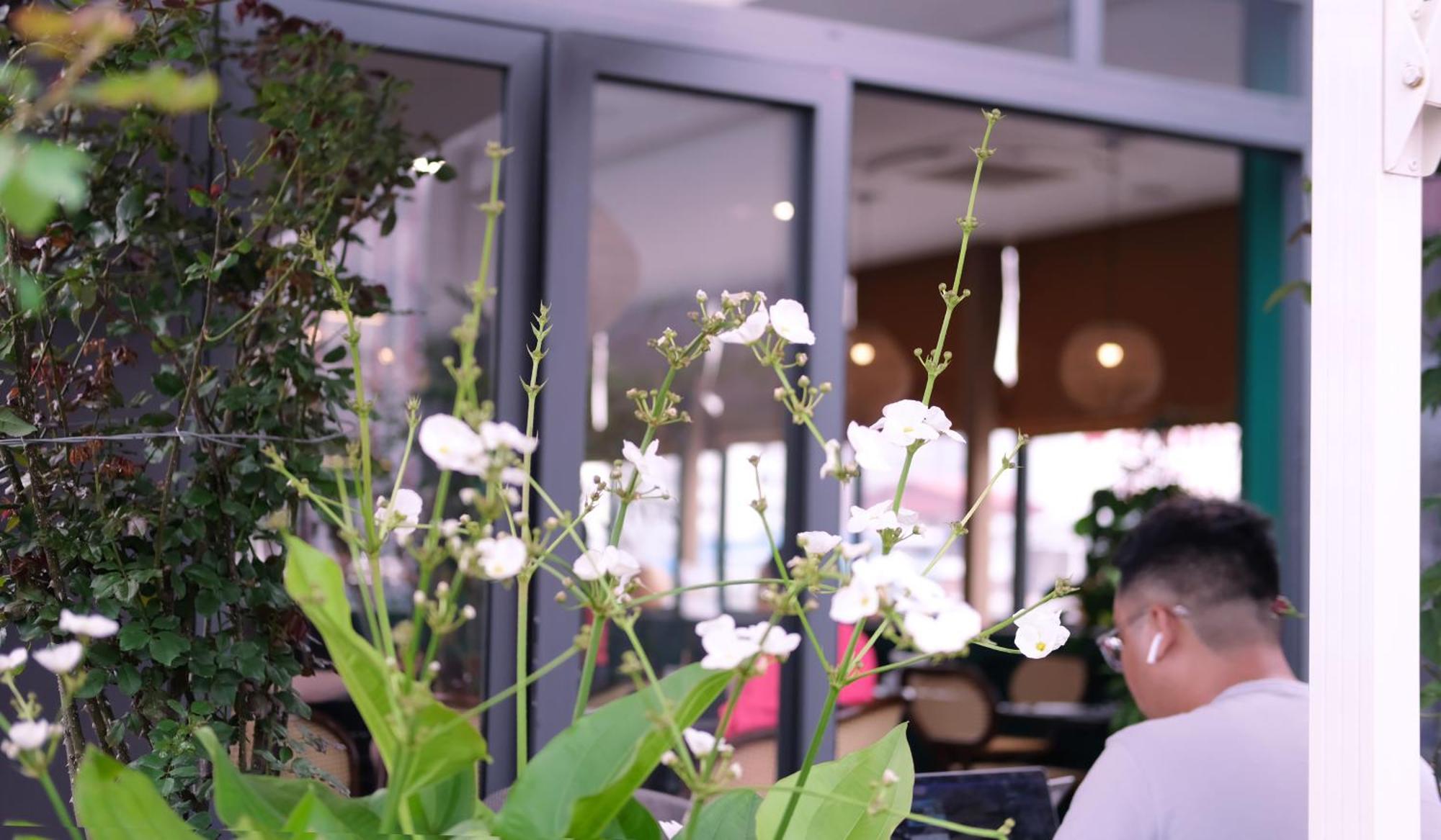 The Bloom Hà Nội Khách sạn hẻo lánh Hà Nội