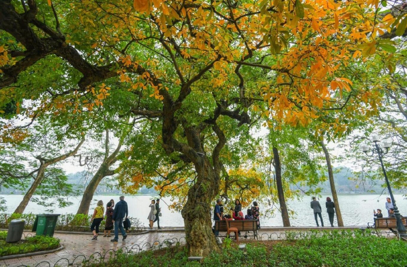 Amazing View, Natural Light, 3' To Hoan Kiem Lake, Free Wifi, Netflix, 2 Beds, 1 Toilet-2 Showers Apartment