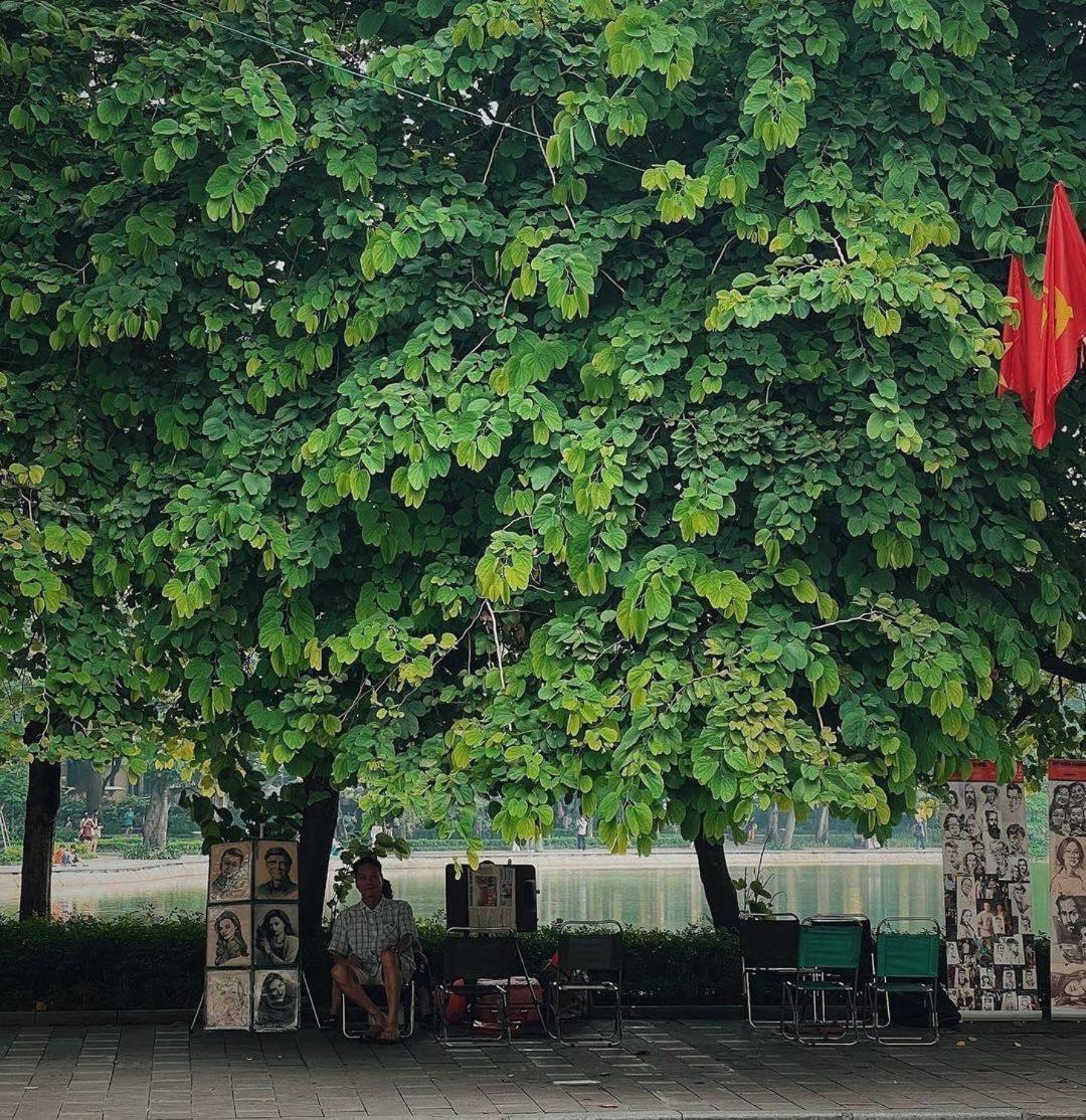Tropical Land Little Ở trọ