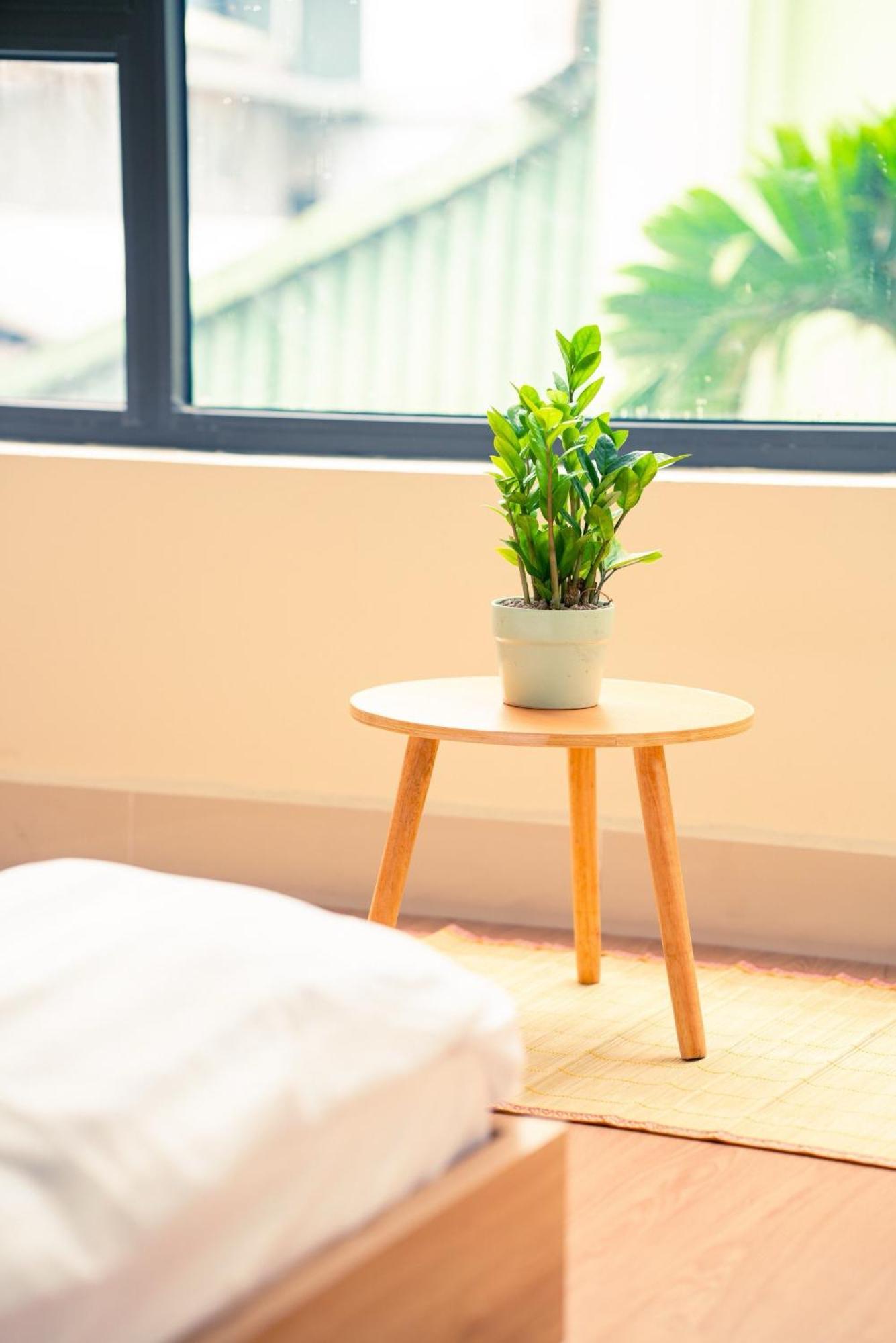 Luunien - Cozy Japandi Styled *