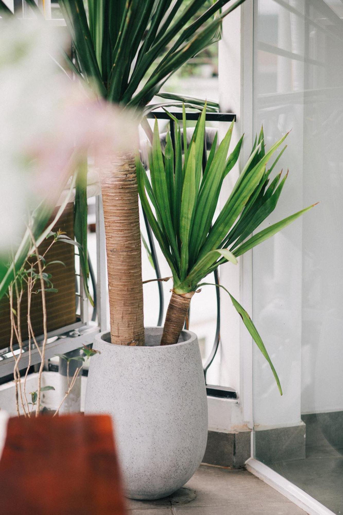 Miacasahanoi - King Bed - Free Laundry - Netflix & Rooftop Chill Khách sạn hẻo lánh