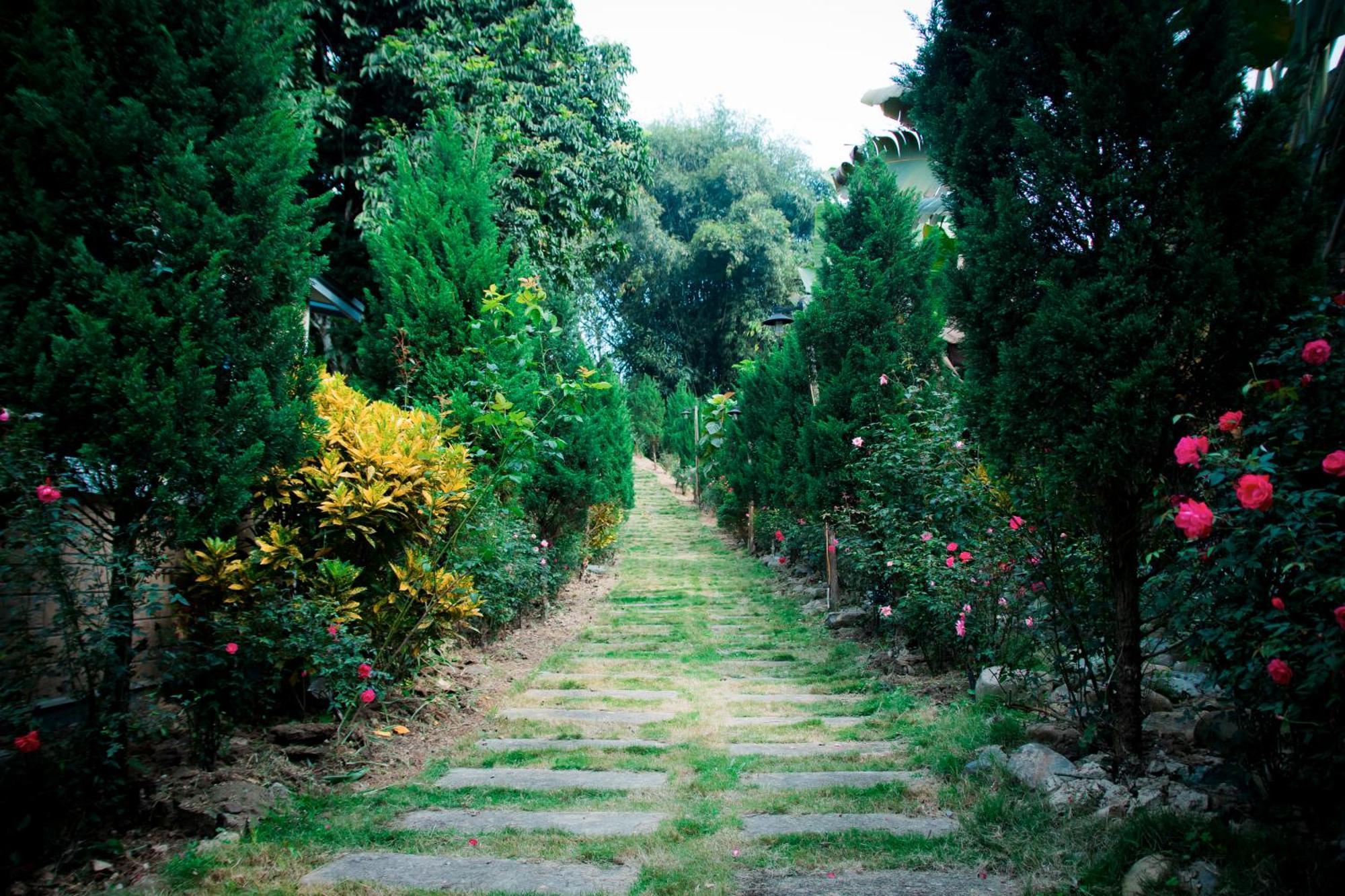 Sapphire Hill Penginapan ladang Hanoi