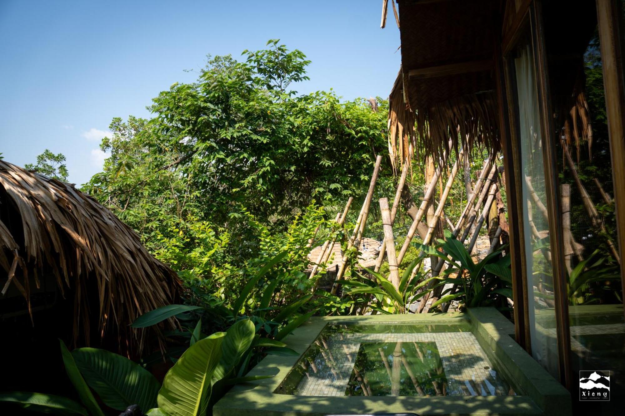 Xieng Retreat Homestay Hanoi