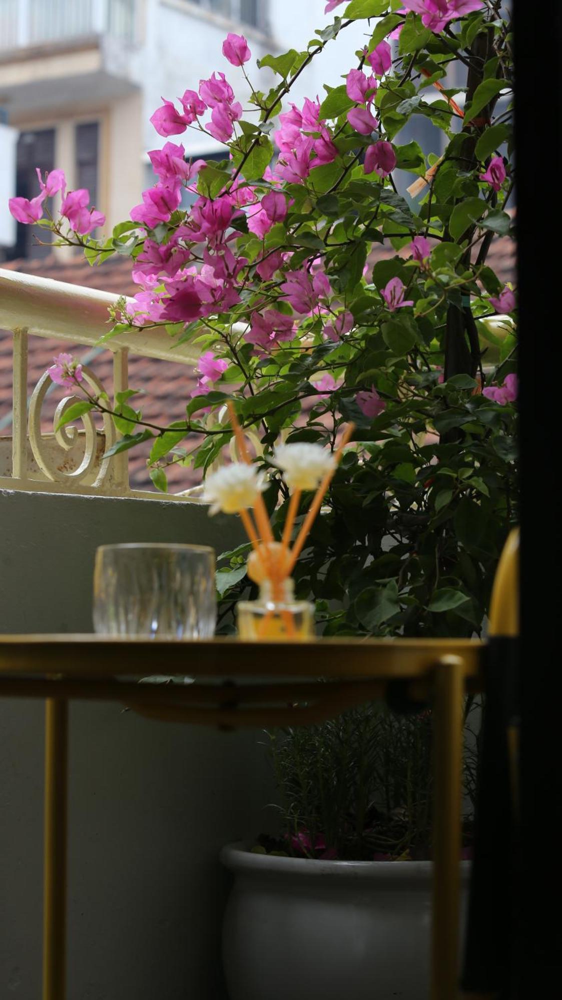 Vietnam Travelers 2 With Cozy Private Balcony *