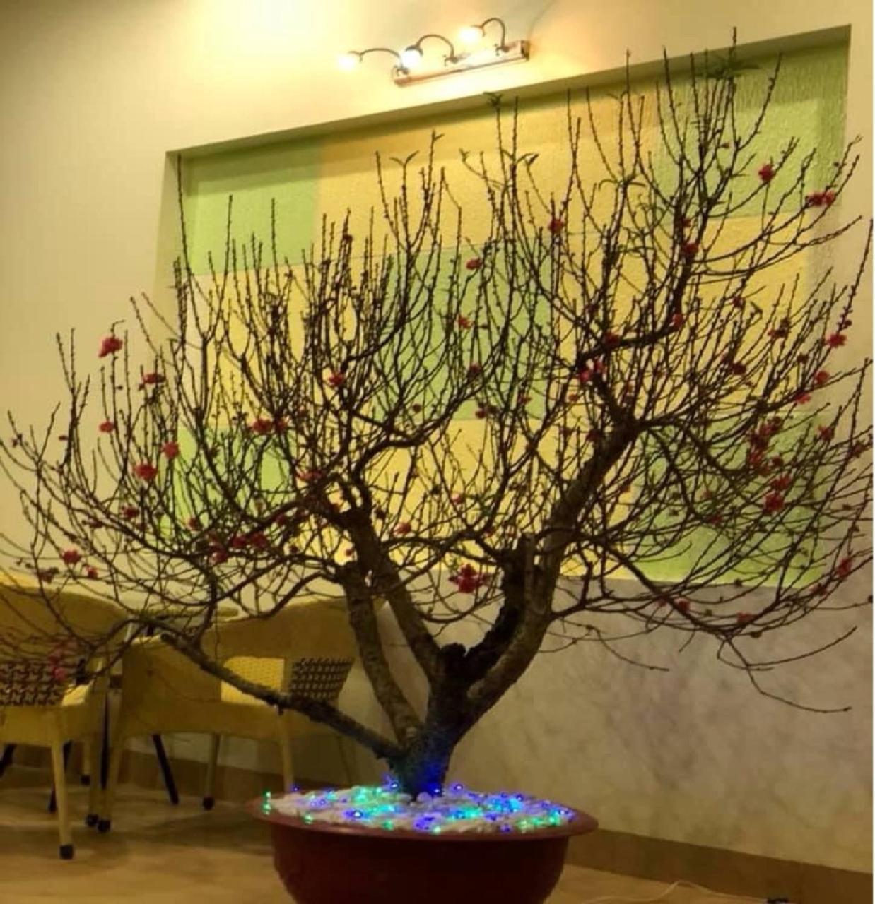 Noi Bai Hotel Hanoi